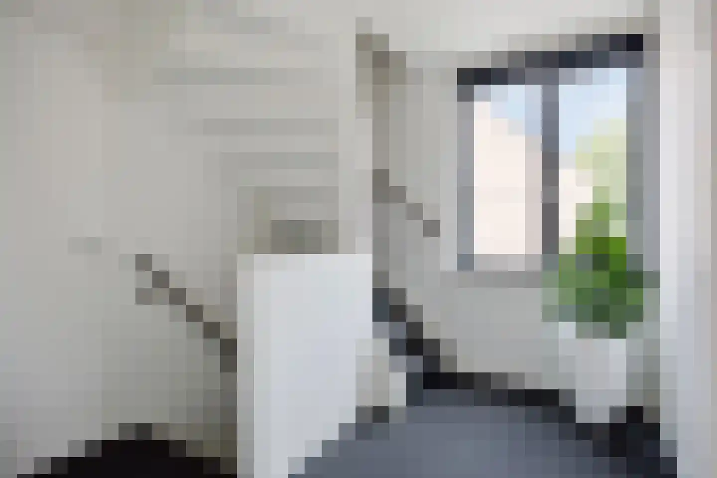 Ranonkel 7 Venray thumbnail 32