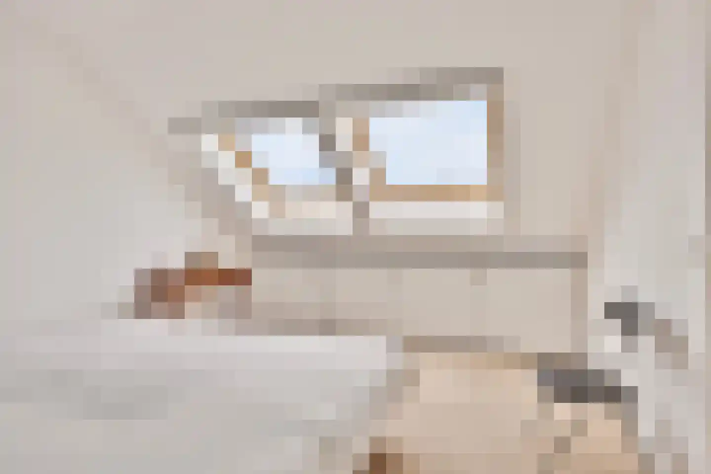 Ranonkel 7 Venray thumbnail 36