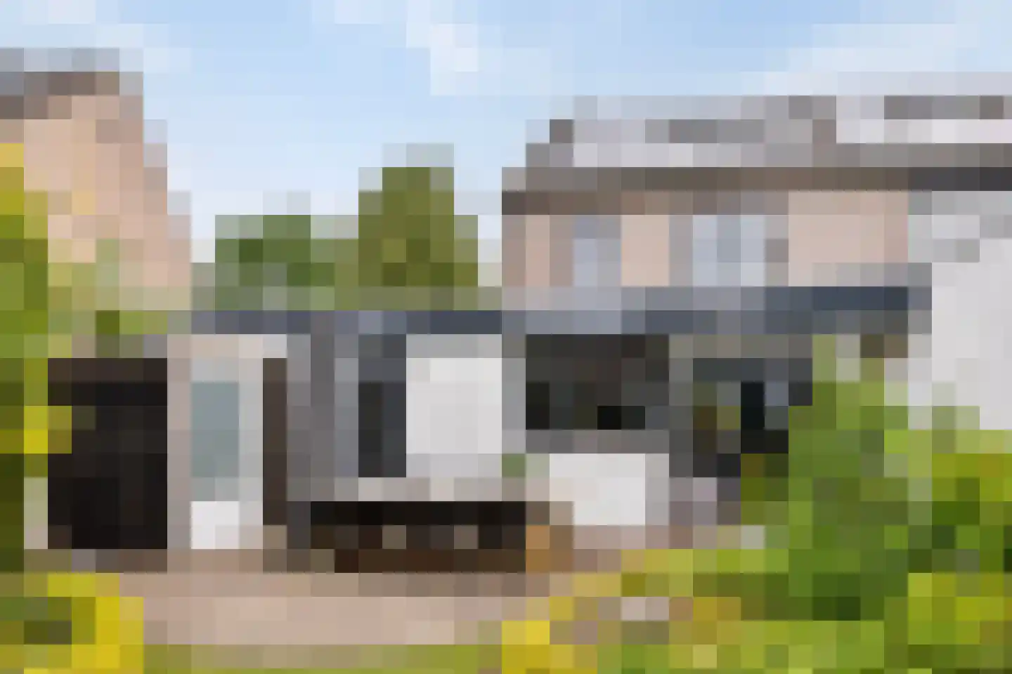 Ranonkel 7 Venray thumbnail 4
