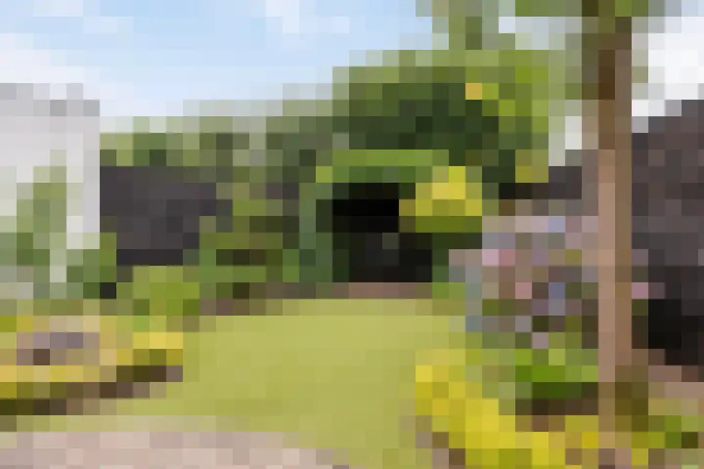 Ranonkel 7 Venray thumbnail 45