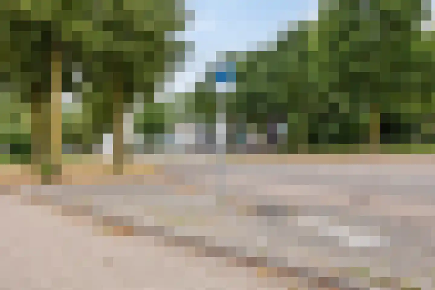 Ranonkel 7 Venray thumbnail 49