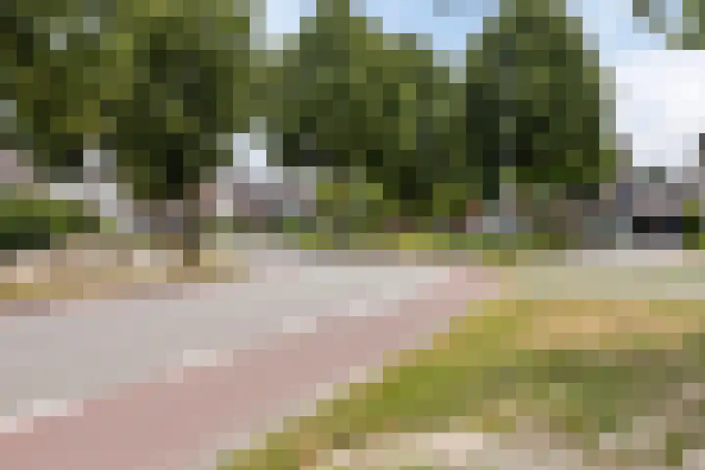 Ranonkel 7 Venray thumbnail 50