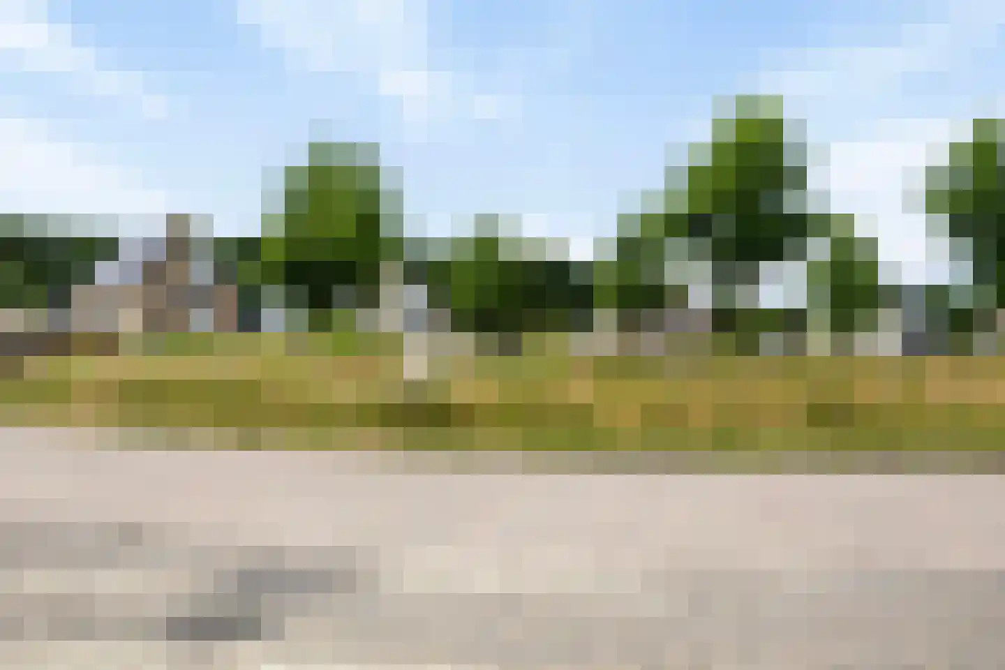 Ranonkel 7 Venray thumbnail 53