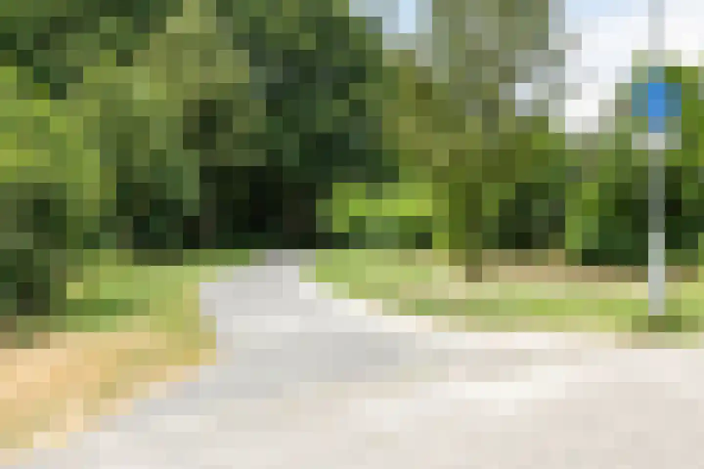 Ranonkel 7 Venray thumbnail 54