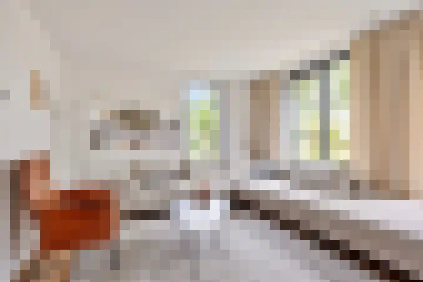 Ranonkel 7 Venray thumbnail 9