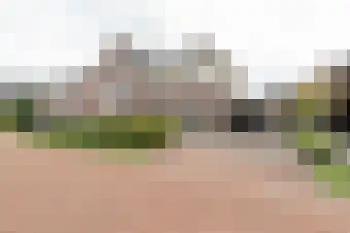 Ranonkel 9 in Beilen