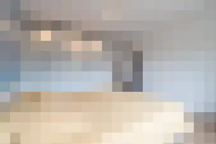 Ranonkel 9 Beilen thumbnail 23