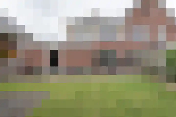 Ranonkel 9 Beilen thumbnail 36