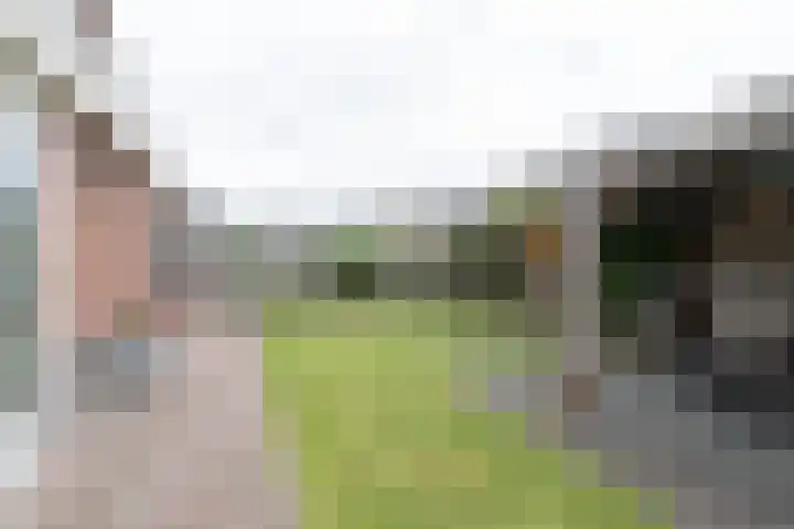 Ranonkel 9 Beilen thumbnail 38