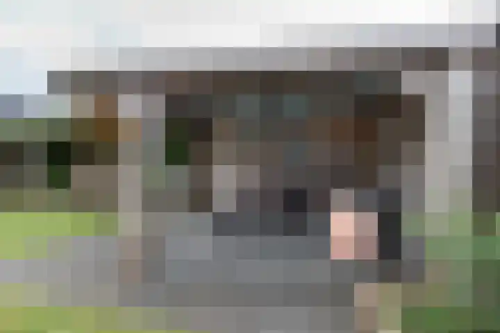 Ranonkel 9 Beilen thumbnail 40