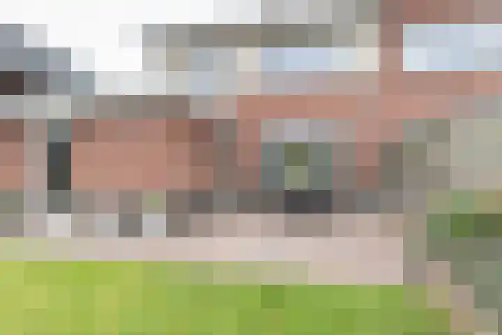 Ranonkel 9 Beilen thumbnail 42