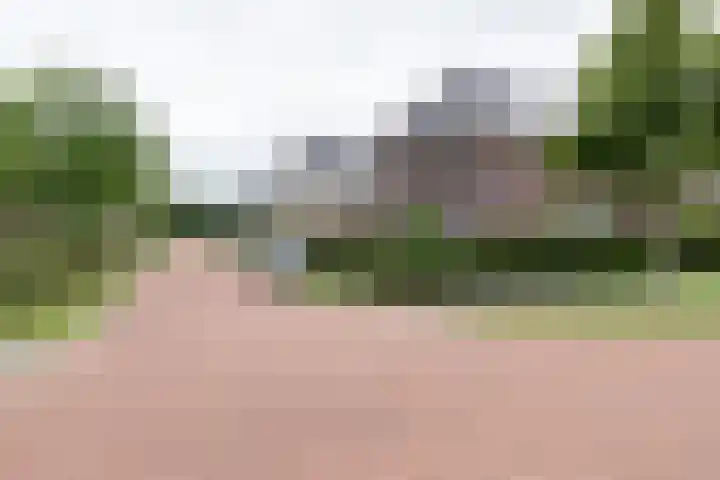 Ranonkel 9 Beilen thumbnail 46