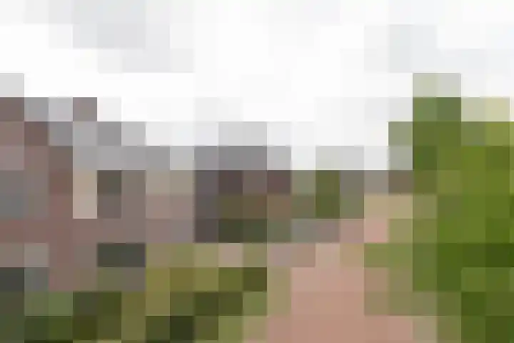 Ranonkel 9 Beilen thumbnail 47