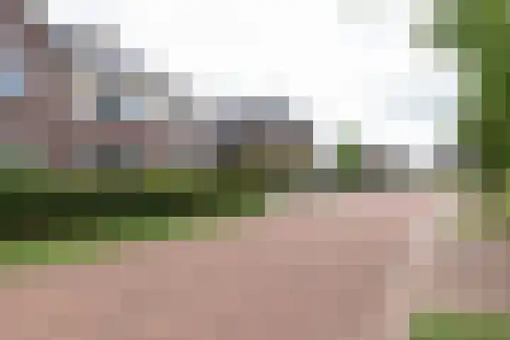 Ranonkel 9 Beilen thumbnail 48