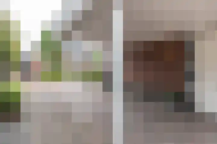 Ranonkel 9 Beilen thumbnail 5