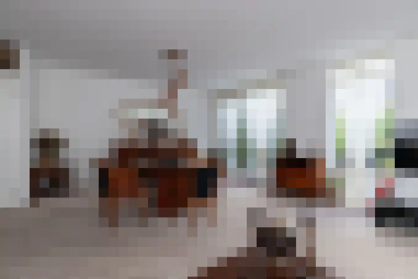 Ranonkeldreef 19 Papendrecht thumbnail 12