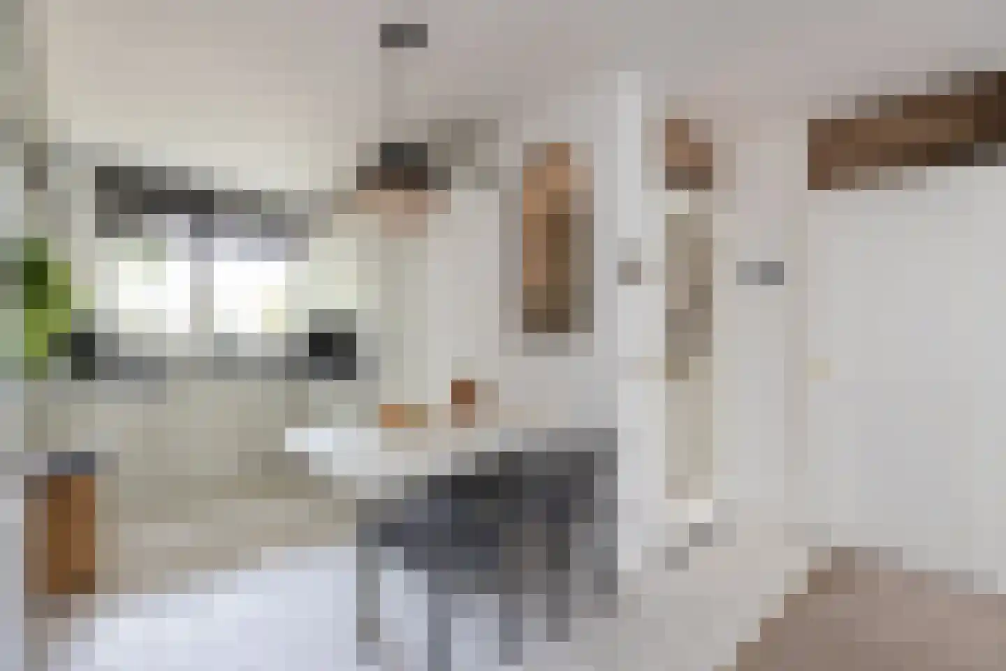 Ranonkeldreef 19 Papendrecht thumbnail 14