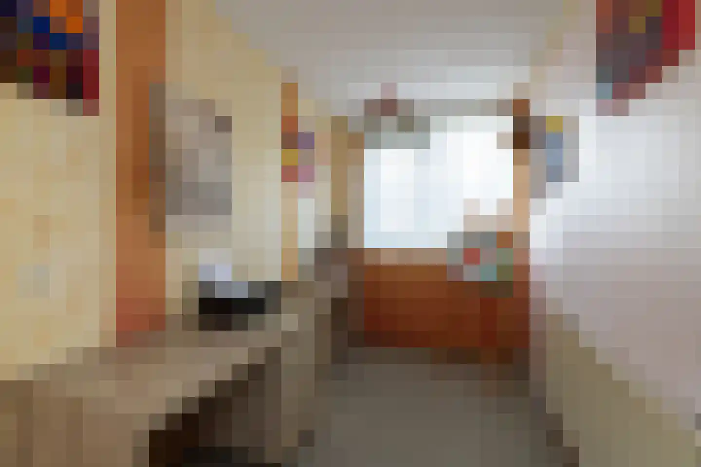 Ranonkeldreef 19 Papendrecht thumbnail 17