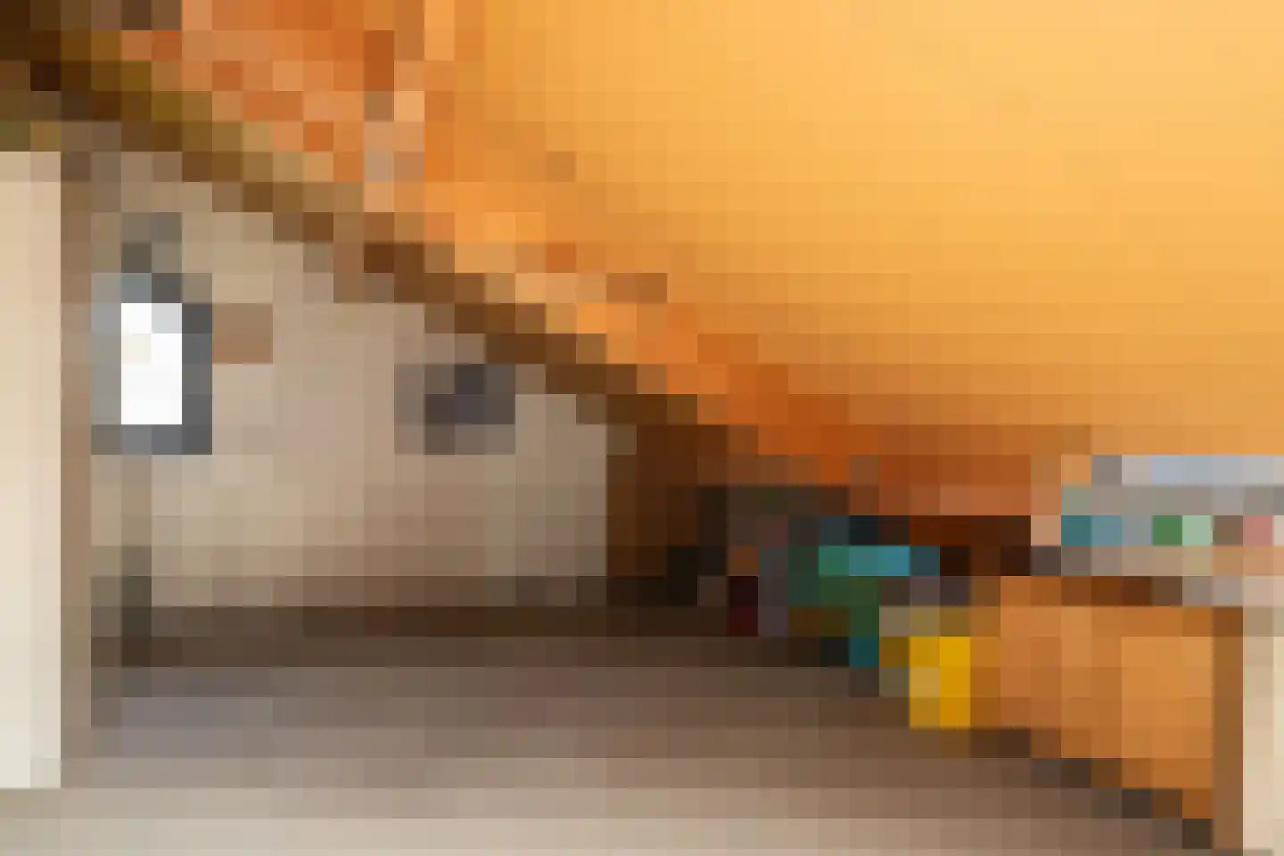 Ranonkeldreef 19 Papendrecht thumbnail 21