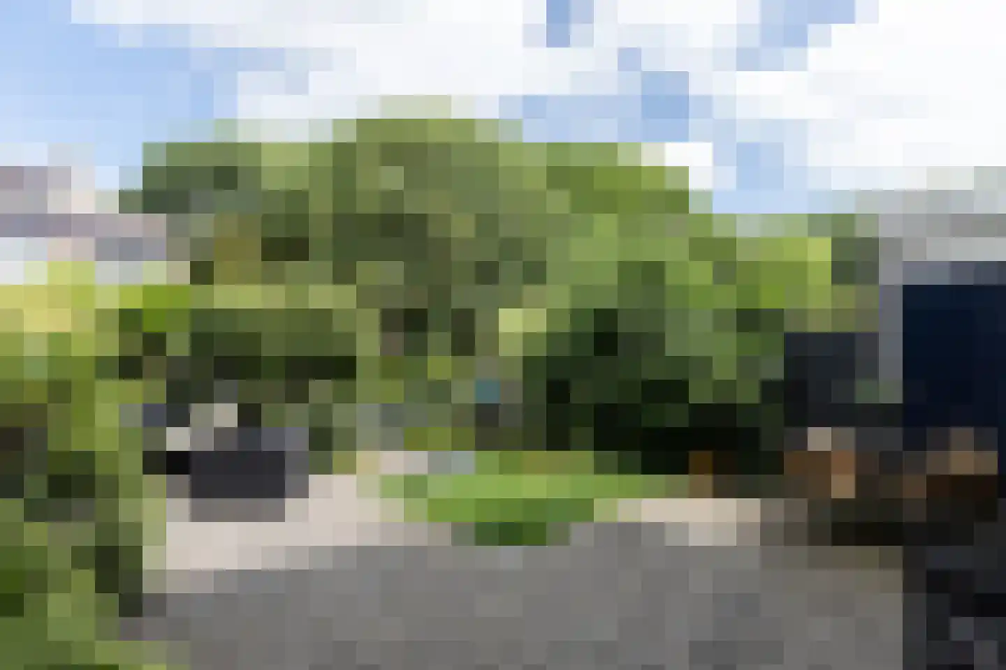 Ranonkeldreef 19 Papendrecht thumbnail 22