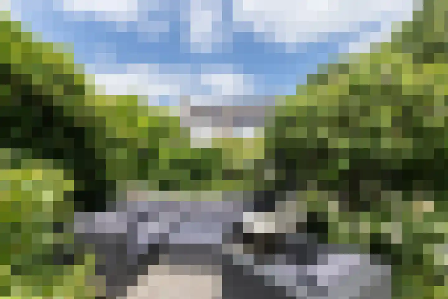 Ranonkeldreef 19 Papendrecht thumbnail 23
