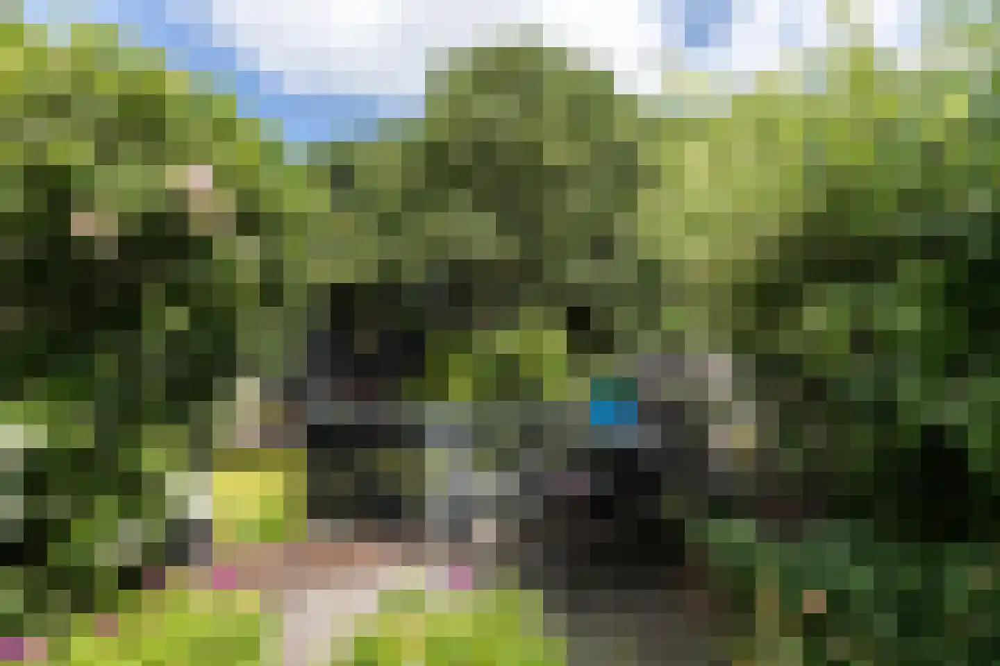 Ranonkeldreef 19 Papendrecht thumbnail 24