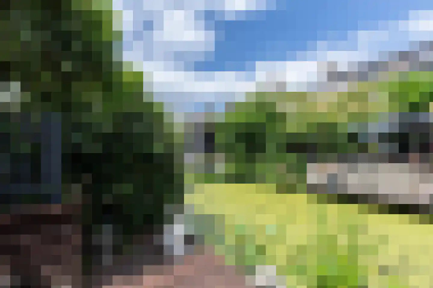 Ranonkeldreef 19 Papendrecht thumbnail 26