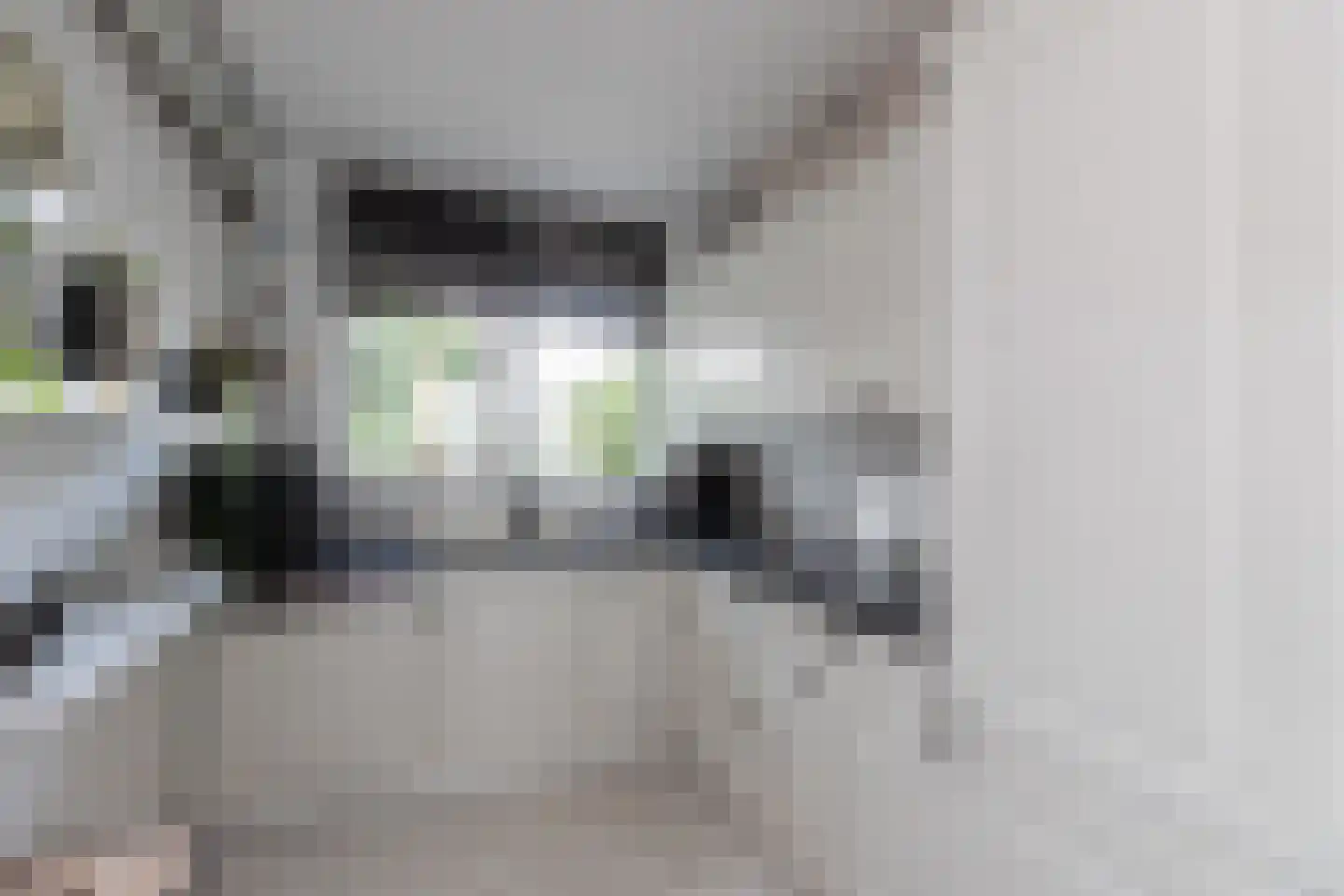 Ranonkeldreef 19 Papendrecht thumbnail 4