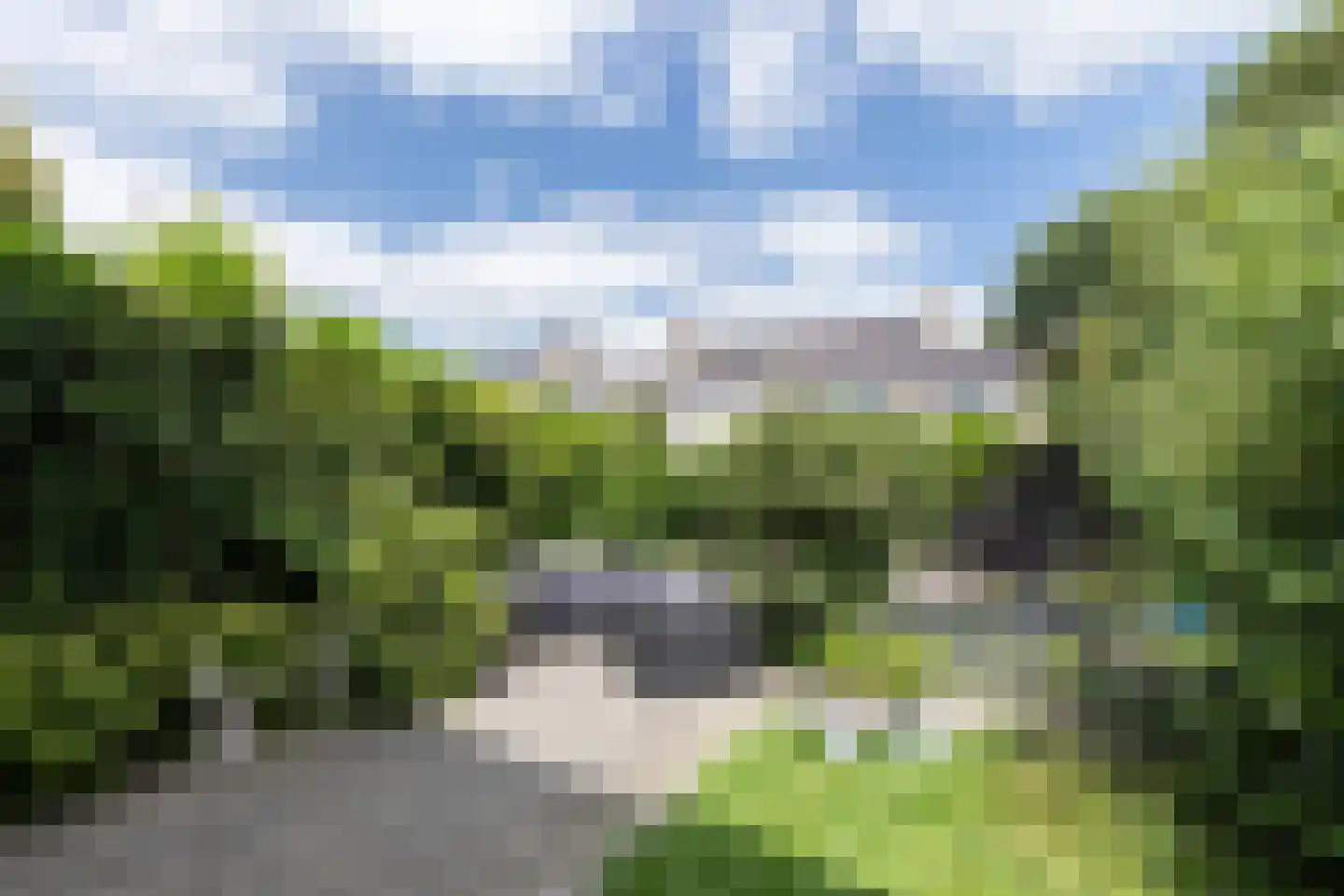 Ranonkeldreef 19 Papendrecht thumbnail 5