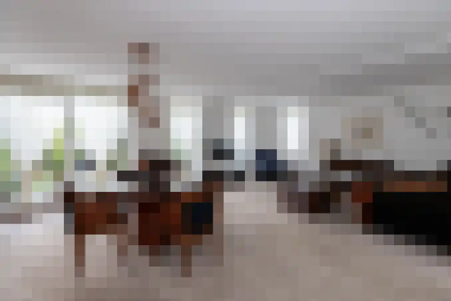 Ranonkeldreef 19 Papendrecht thumbnail 9