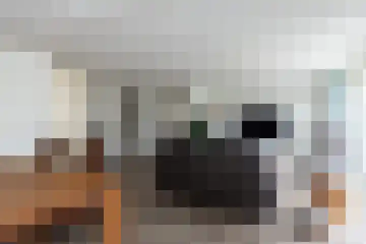 Ranonkeldreef 7 Papendrecht thumbnail 11