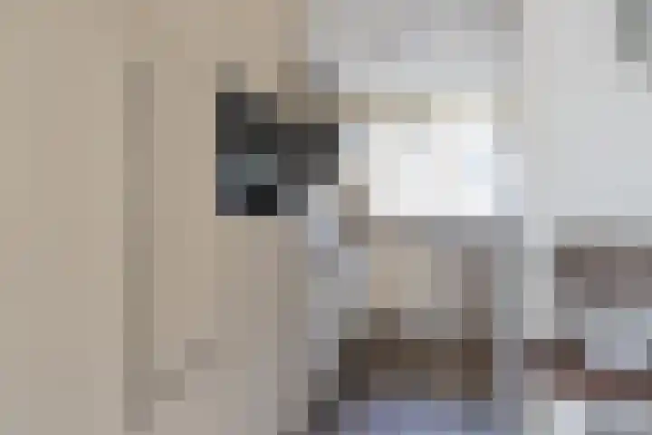 Ranonkeldreef 7 Papendrecht thumbnail 12