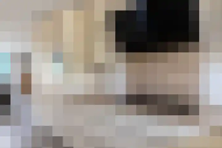 Ranonkeldreef 7 Papendrecht thumbnail 13