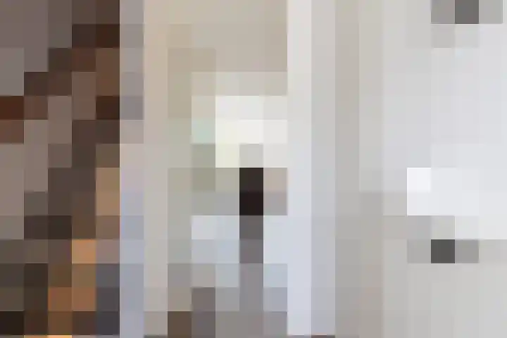 Ranonkeldreef 7 Papendrecht thumbnail 14