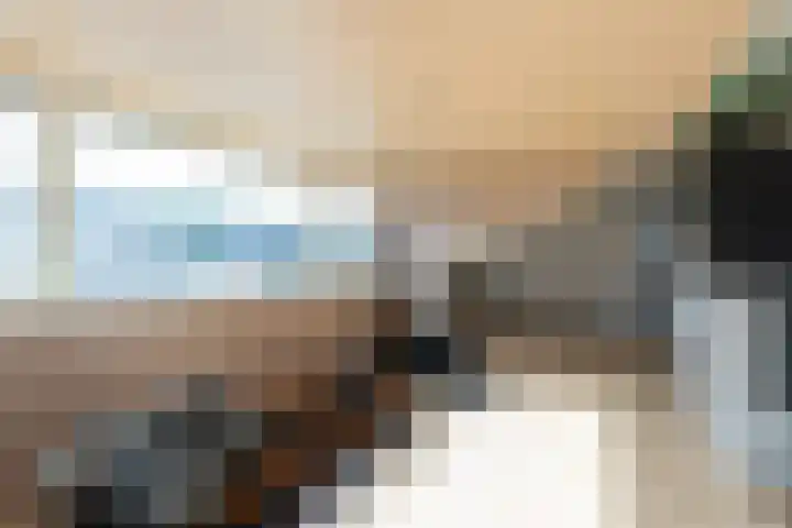 Ranonkeldreef 7 Papendrecht thumbnail 20