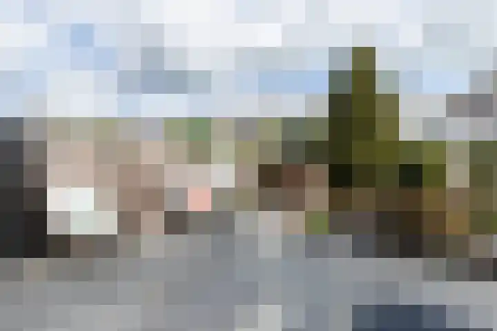 Ranonkeldreef 7 Papendrecht thumbnail 21