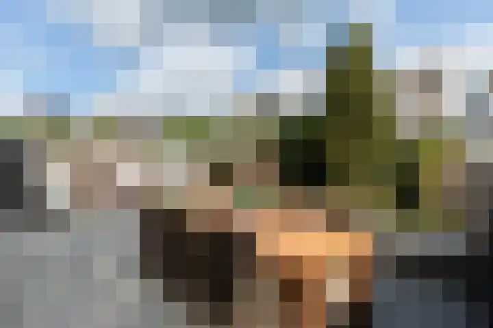 Ranonkeldreef 7 Papendrecht thumbnail 22