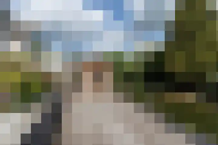 Ranonkeldreef 7 Papendrecht thumbnail 24