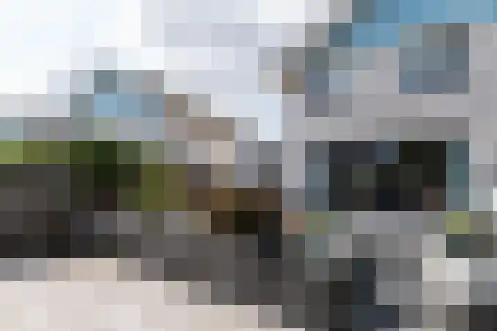 Ranonkeldreef 7 Papendrecht thumbnail 26