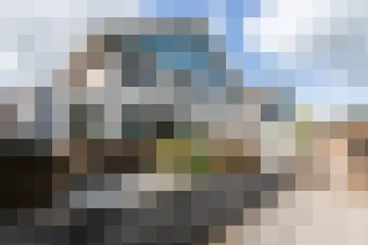 Ranonkeldreef 7 Papendrecht thumbnail 27