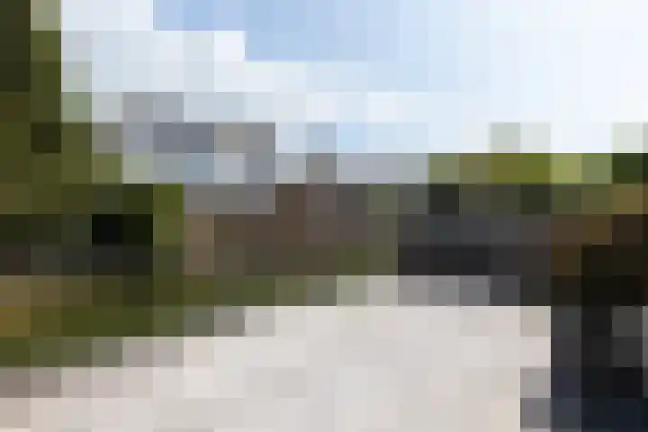 Ranonkeldreef 7 Papendrecht thumbnail 4