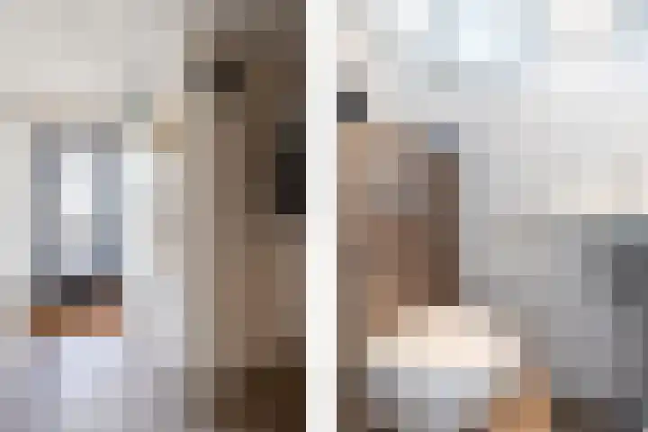 Ranonkeldreef 7 Papendrecht thumbnail 5