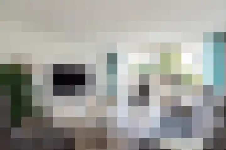Ranonkeldreef 7 Papendrecht thumbnail 6