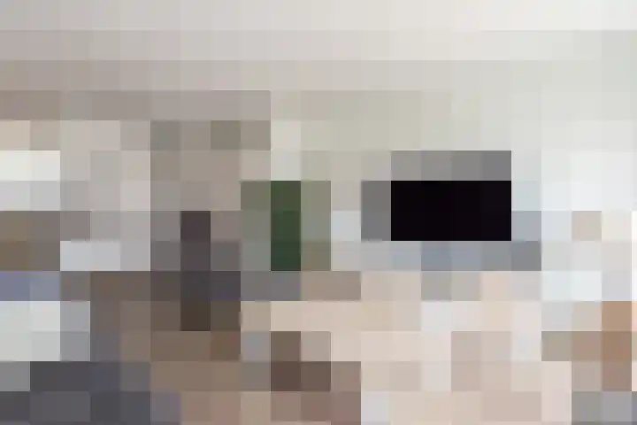 Ranonkeldreef 7 Papendrecht thumbnail 7