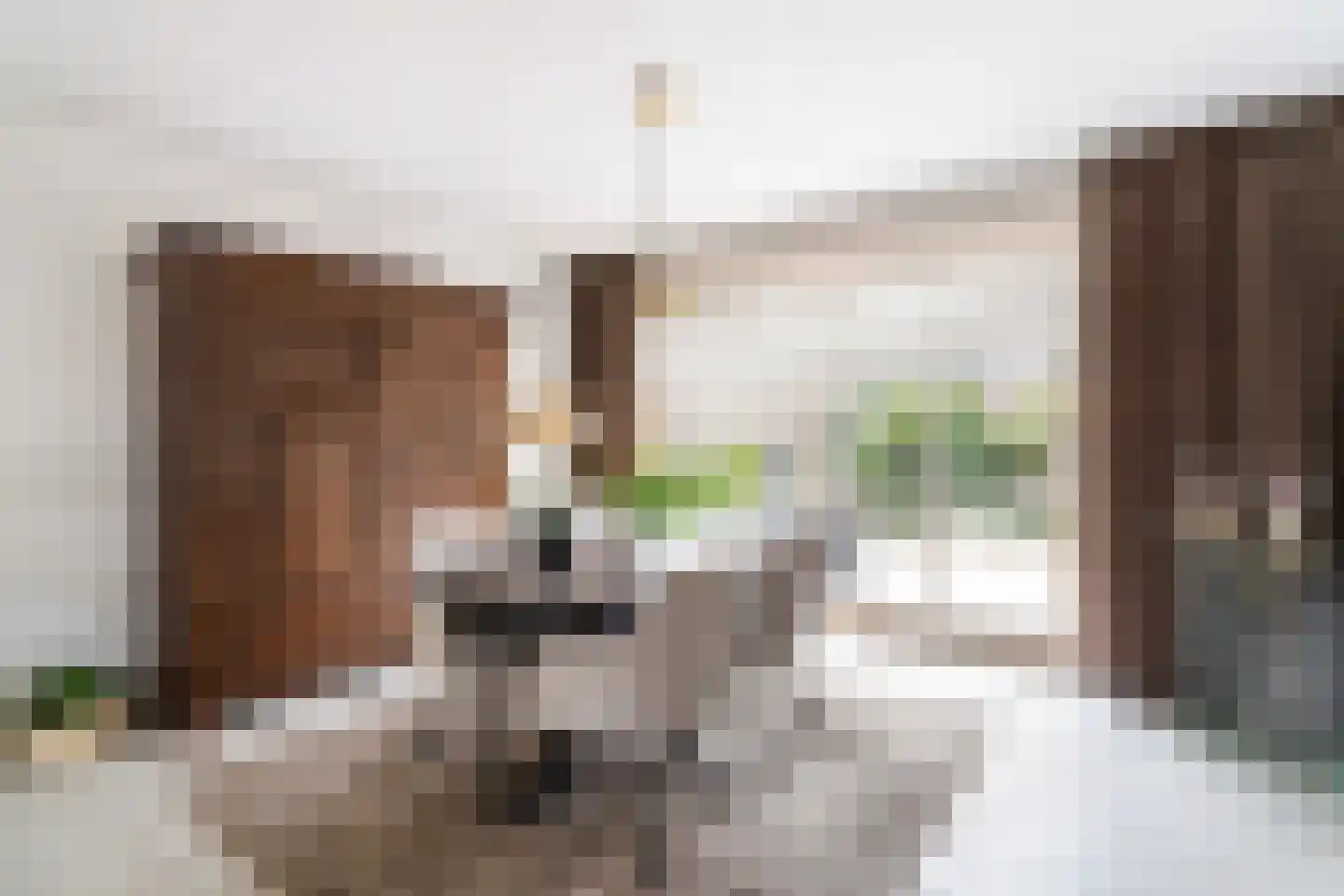 Ranonkelhof 2 Weert thumbnail 17