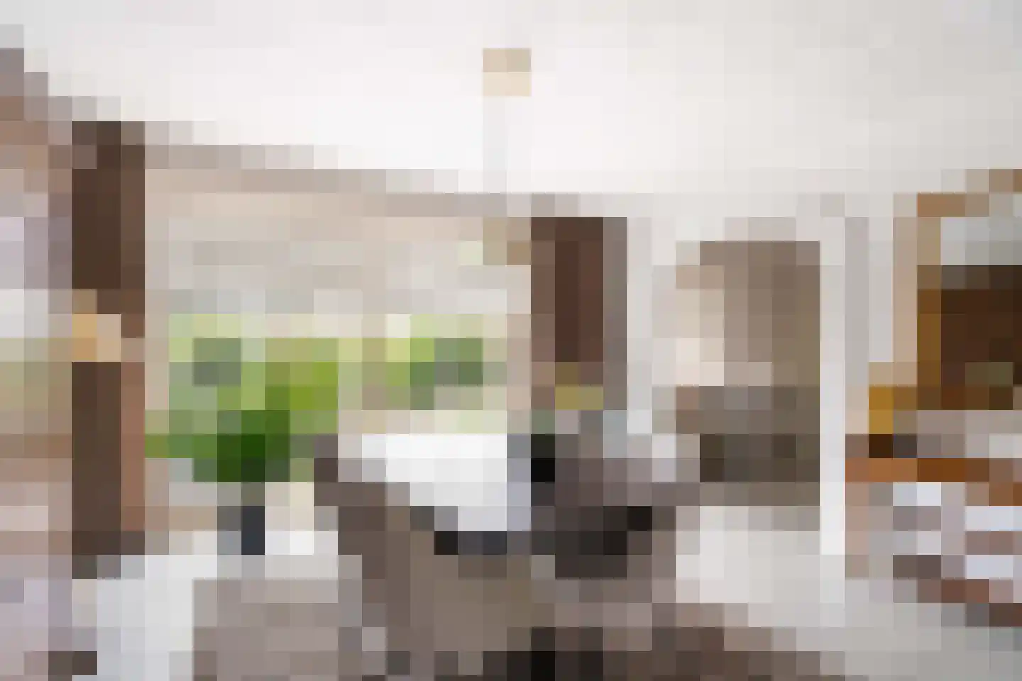 Ranonkelhof 2 Weert thumbnail 18
