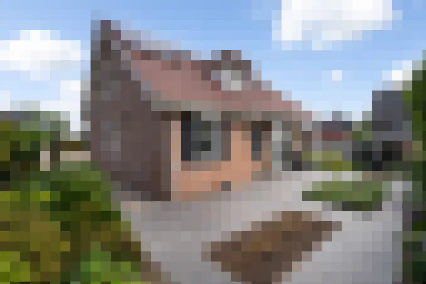 Ranonkelhof 2 Weert thumbnail 38