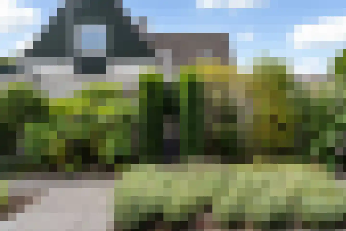 Ranonkelhof 2 Weert thumbnail 39