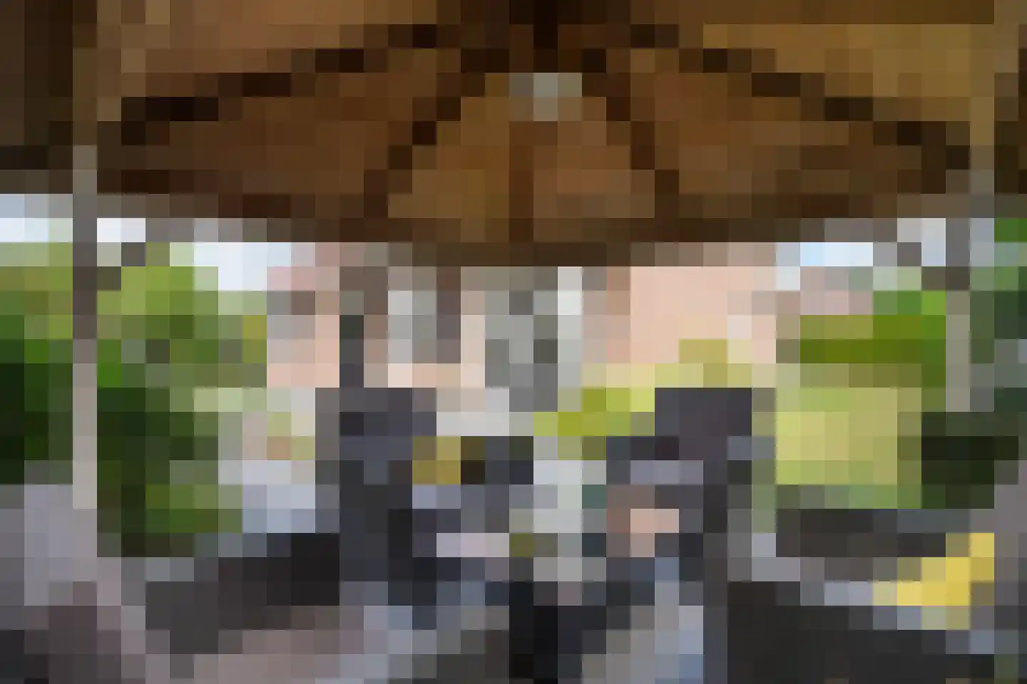 Ranonkelhof 2 Weert thumbnail 43
