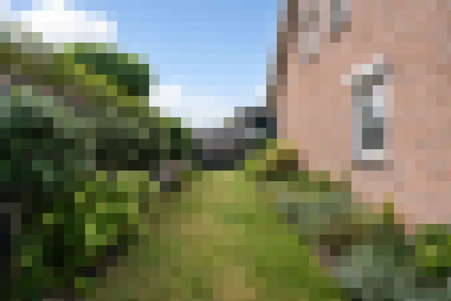 Ranonkelhof 2 Weert thumbnail 44